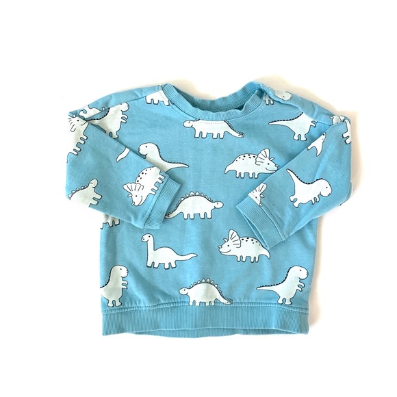H&M Other - H&M Baby Boy Dinosaur Graphic Sweatshirt